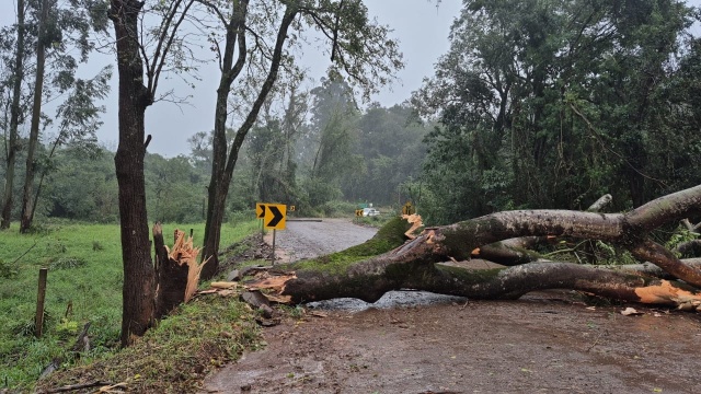 Temporal com ventos fortes causa estragos em cidades do Extremo-Oeste de SC