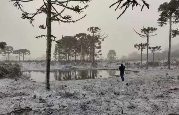 Massa de ar polar traz 1º frio intenso do ano para SC; confira
