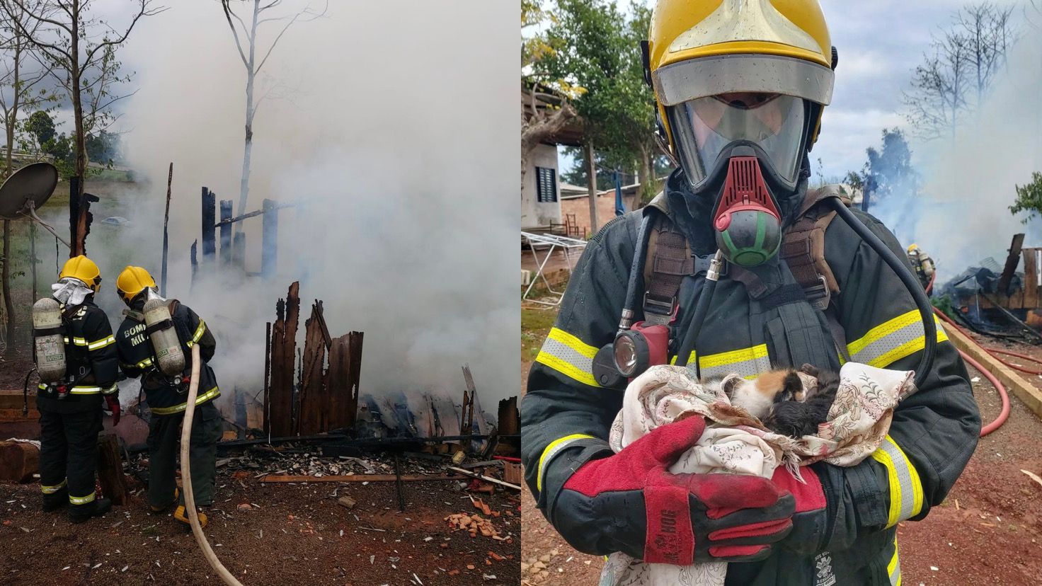 Bombeiros são mobilizados para atender um incêndio em residência e acabam salvando uma família de gatos
