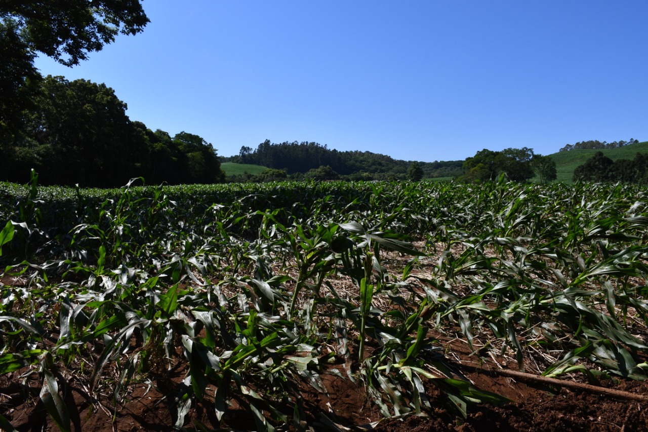 Trabalhos emergenciais devido às chuvas são realizados pelas Secretarias de Obras e Agricultura