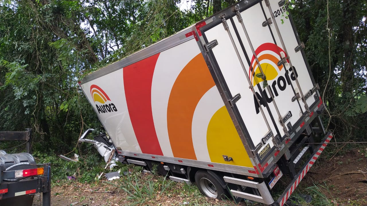 Motorista morre após caminhão sair da pista e se chocar contra árvores na BR 282