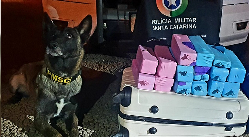 PM apreende quase 25 quilos de maconha e mais de 500 garrafas de vinho em Dionísio Cerqueira