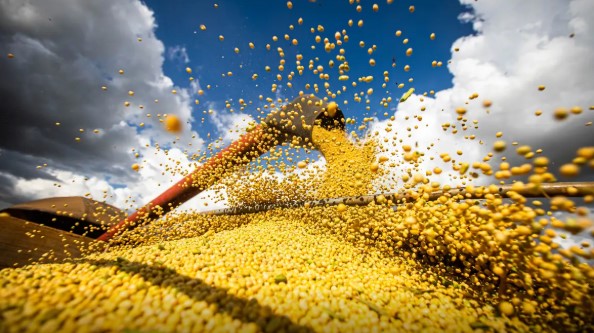Brasil estima colheita de 354,8 milhões de toneladas de grãos