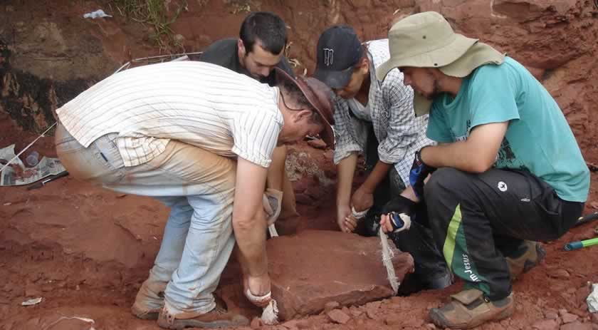 Pesquisadores de SC auxiliam na descoberta de "novo dinossauro brasileiro"