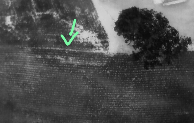 Idoso desaparecido é encontrado com ajuda de drone e cão farejador no interior de Itapiranga