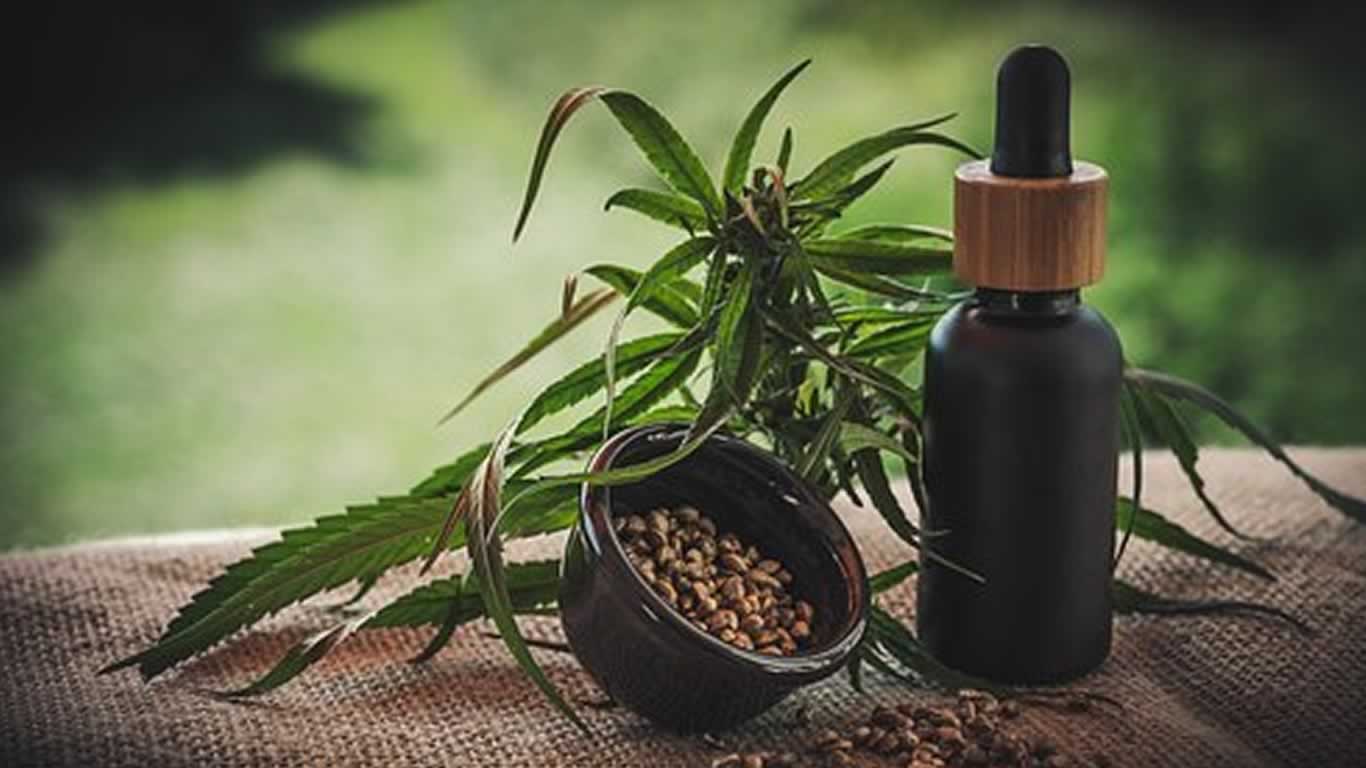 Anvisa autoriza três novos produtos derivados de Cannabis