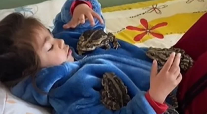 Menina de 2 anos viraliza na internet após aparecer em vídeo brincando com sapos