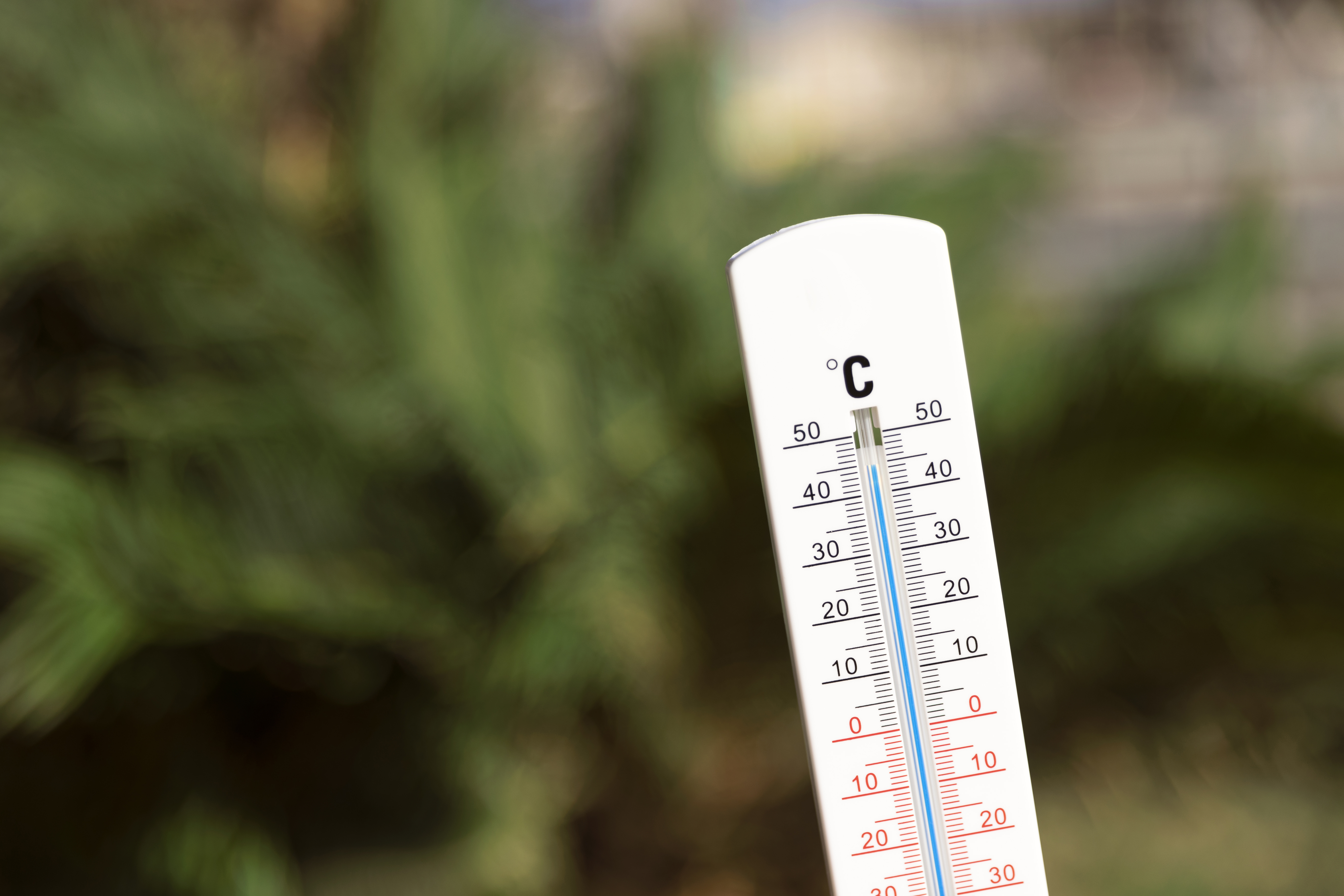 Final de semana terá sol e altas temperaturas em Santa Catarina