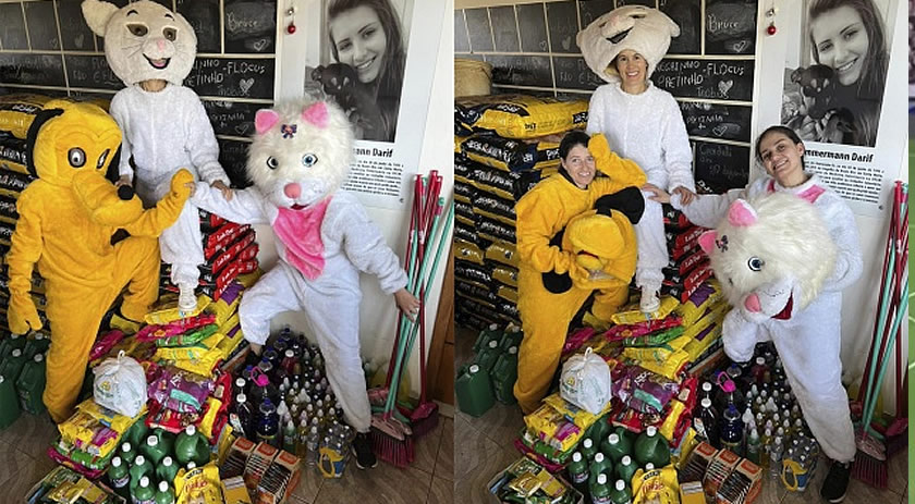 Voluntárias da ONG Amigo Bicho arrecadam ração e produtos de limpeza