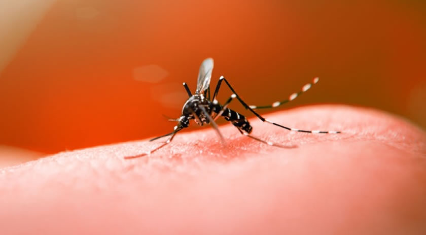 Morador de cidade do Oeste de SC morre por complicações da dengue