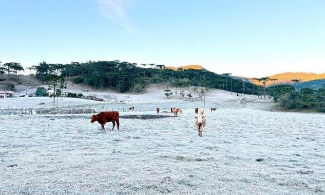 Bom Jardim da Serra registra -6,1°C e tem a menor temperatura do Brasil