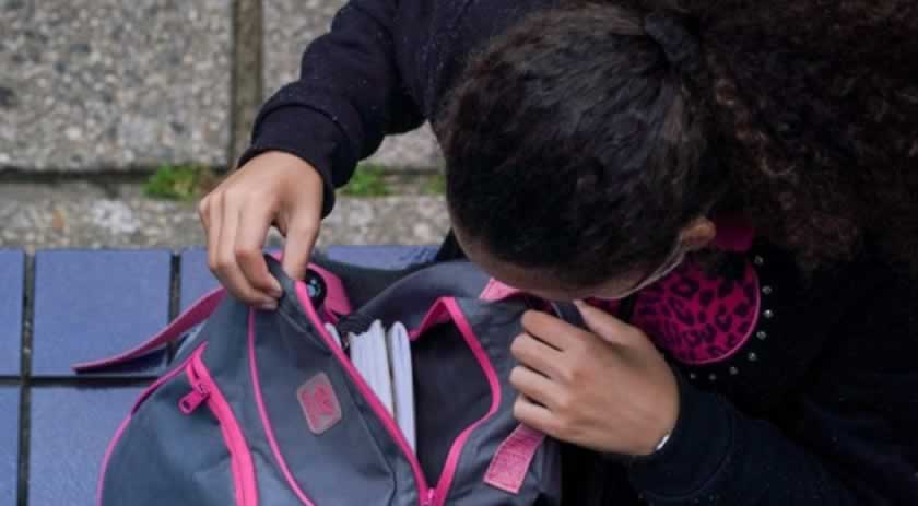 Senado aprova sistema semelhante ao SUS para a Educação