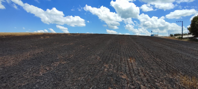 Incêndio atinge plantação de trigo já colhido