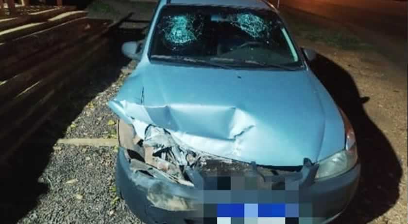 Embriagado, jovem é preso ao causar acidente na SC 163
