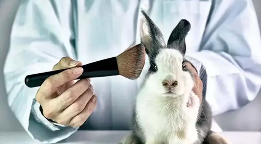 Governo proíbe uso de animais em pesquisas com cosméticos e produtos de higiene