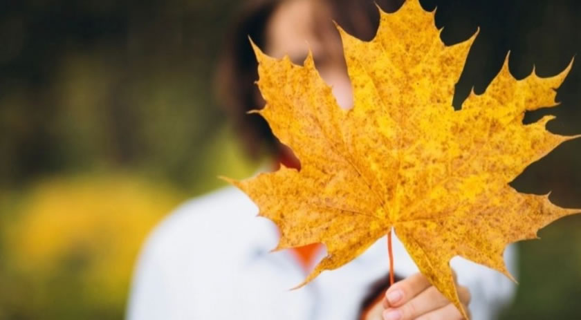 Outono 2026 começa nesta semana, mas frio deve demorar a chegar ao Brasil