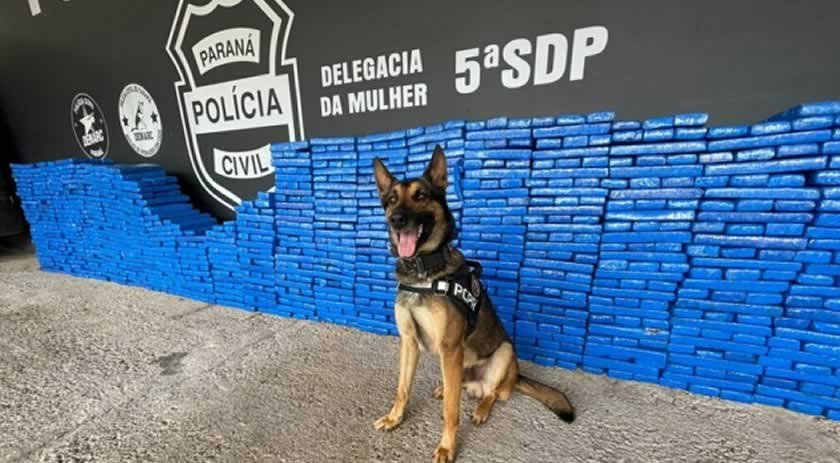Motorista é preso com uma tonelada de maconha nos pneus do caminhão