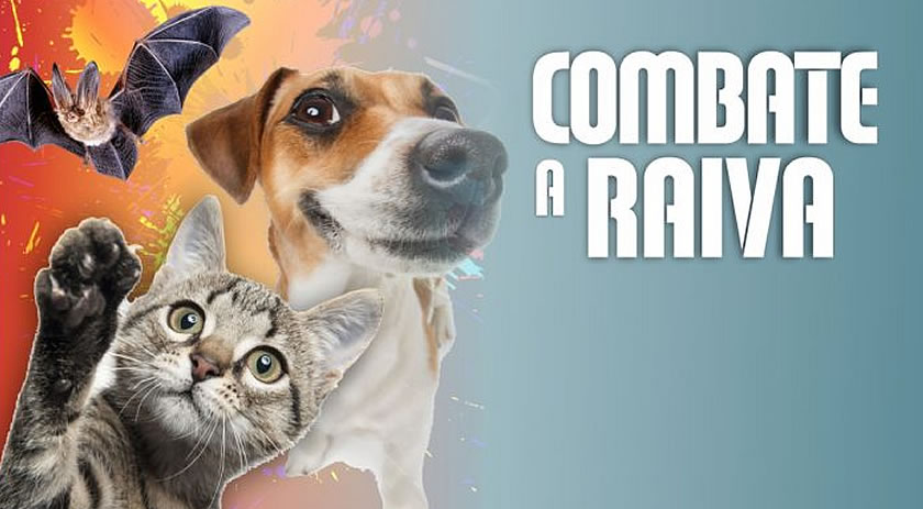 Dia Mundial de Combate à Raiva: o que você precisa saber sobre a doença