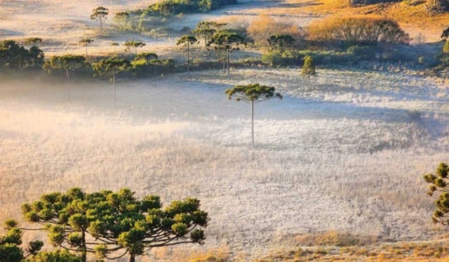 Pouca chuva e temperaturas acima da média: saiba o que esperar do inverno em SC