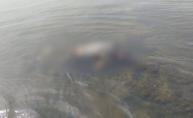 Corpo com marcas de tiros é encontrado no Rio Uruguai e polícia investiga execução