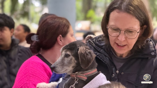 250 cães e gatos serão castrados nesta segunda-feira durante primeira etapa do Pet Levado a Sério
