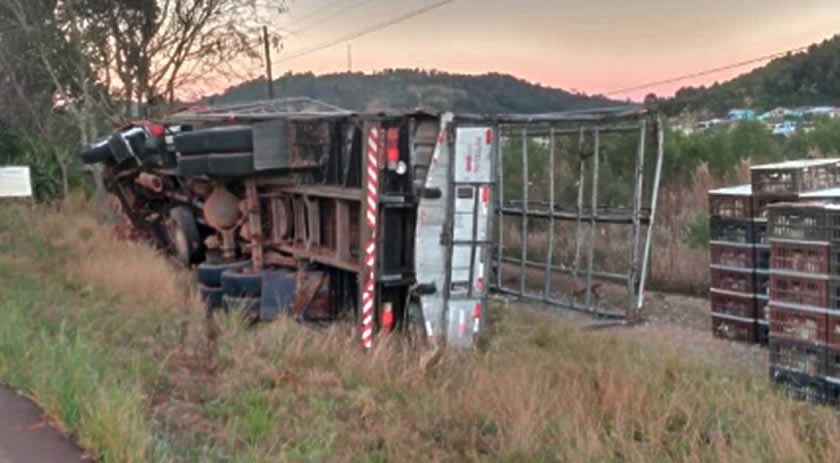 Carreta carregada com frangos tomba na SC-160