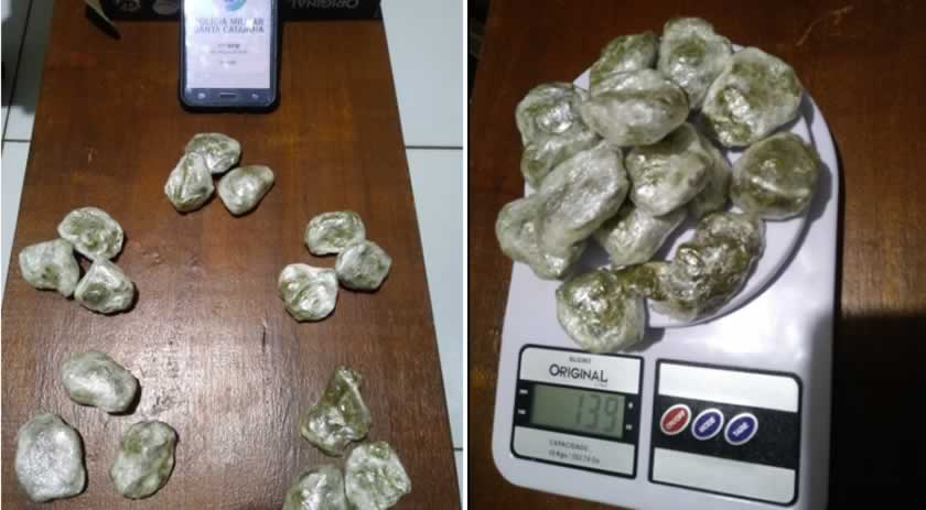Cão farejador Axel ajuda a localizar droga em área de mata