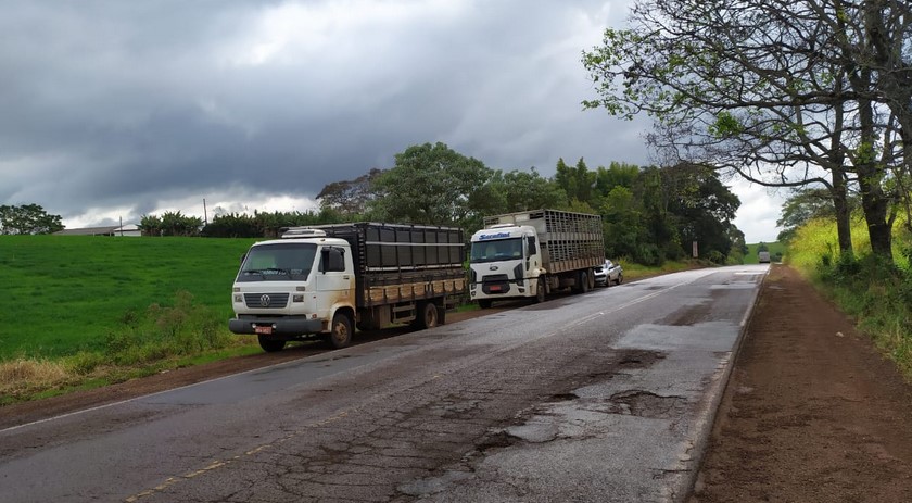 Caminhão de São Miguel do Oeste se envolve em acidente com engavetamento na SC 163