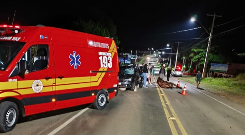 Motorista fica ferido após colisão com cavalo em Iporã do Oeste