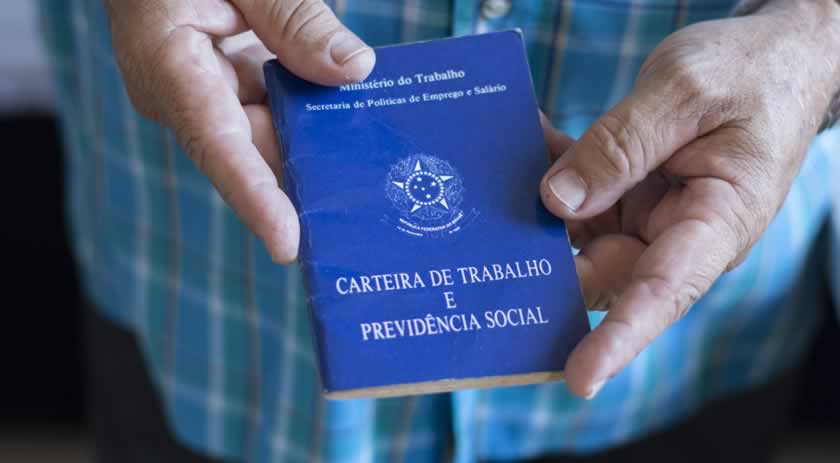 Maravilha gerou mais de 260 novas vagas de emprego no último ano