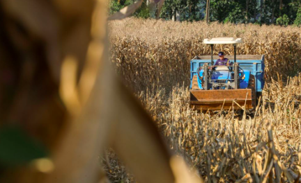 SC lança programa com até R$ 1 bilhão em crédito para produtores de suínos e aves