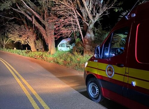 Carro sai da pista na rodovia entre São José do Cedro e Princesa