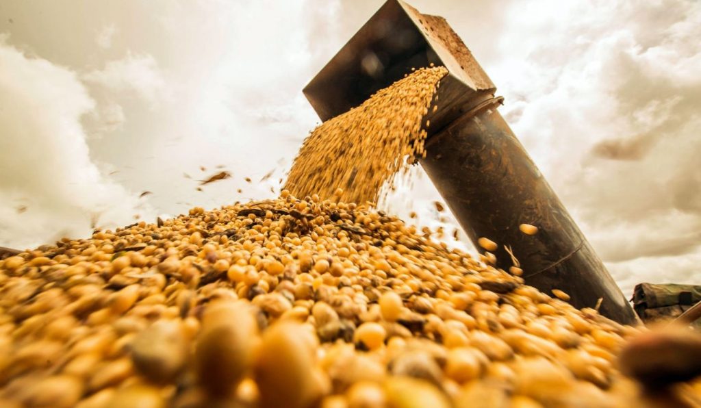 Brasil pode ter segunda maior quebra de soja da história