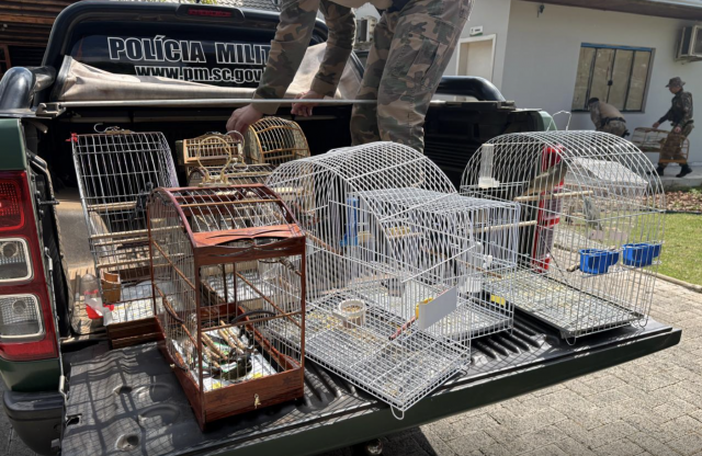 Polícia Ambiental apreende 30 aves mantidas irregularmente em cativeiro