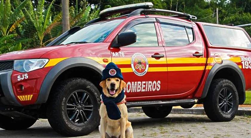 Campanha do Agasalho dos Bombeiros de Iporã do Oeste termina nesta quarta