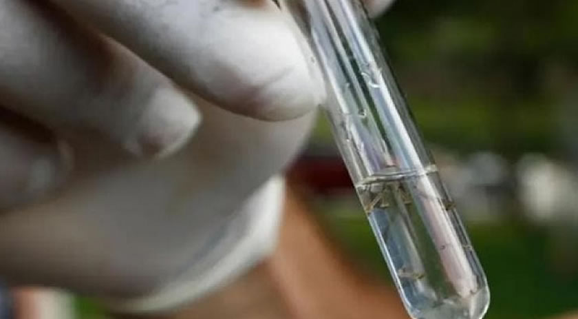 Faltam testes em meio à explosão de casos de dengue
