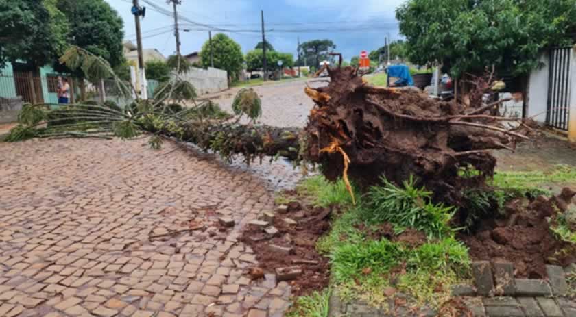 Tempestade deixa rastro de estragos no Oeste de SC e fenômeno é investigado