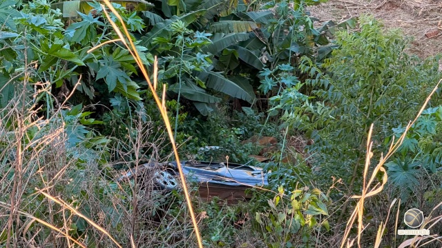 Motorista sai ileso após carro despencar em ribanceira de cerca de 30 metros no interior