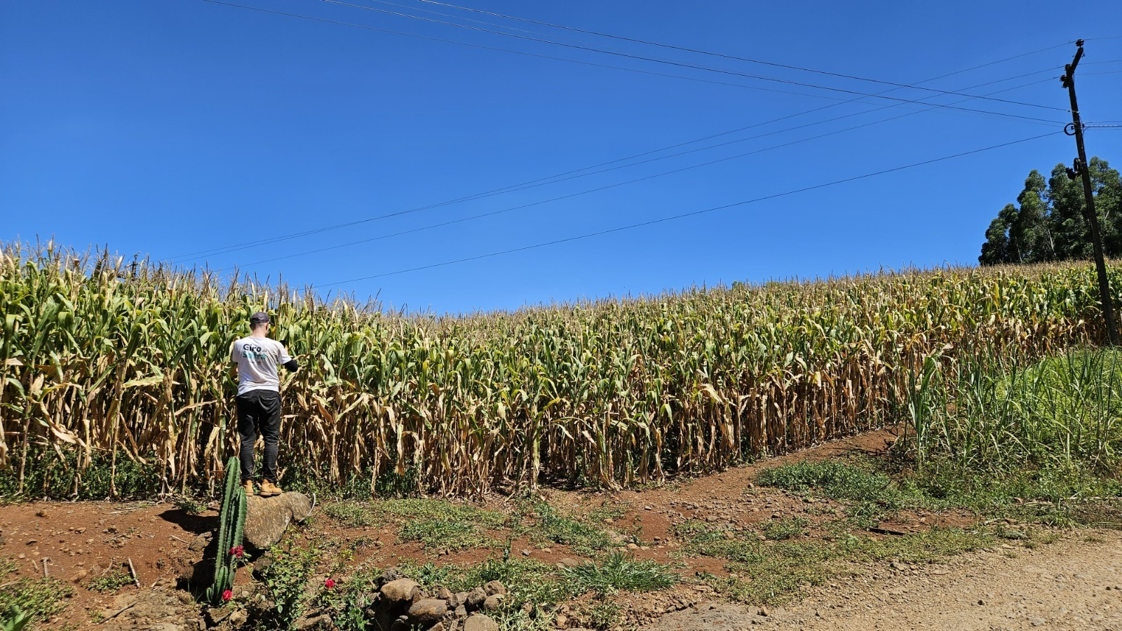 Sicoob e Epagri promovem Giro da Safra no Oeste de SC