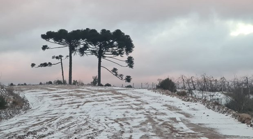 Massa de ar polar traz neve a 23 municípios, geada e temperaturas negativas para SC