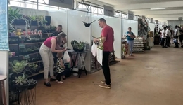 Feira da Agricultura Familiar da Faismo terá cerca de 60 expositores