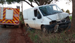 Homem fica ferido após colidir veículo contra árvore