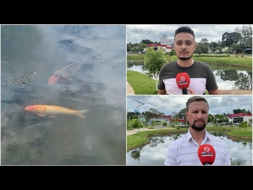 🎥 ASSISTA: Criminosos tentam furtar peixes do lago da Praça La Salle, em São Miguel do Oeste 🚨
